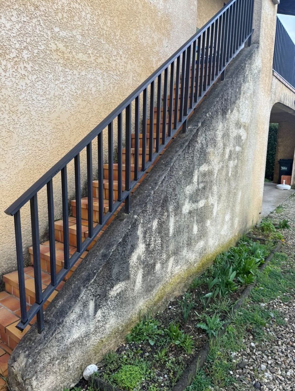Before image